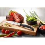 GEFU peilių komplektas kepsniams "Basco", 4 vnt. 24 cm | 3