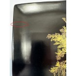 WD LIFESTYLE keramikinių lėkščių rinkinys "Singapore", 4 vnt., 21 x 21 cm  | 2